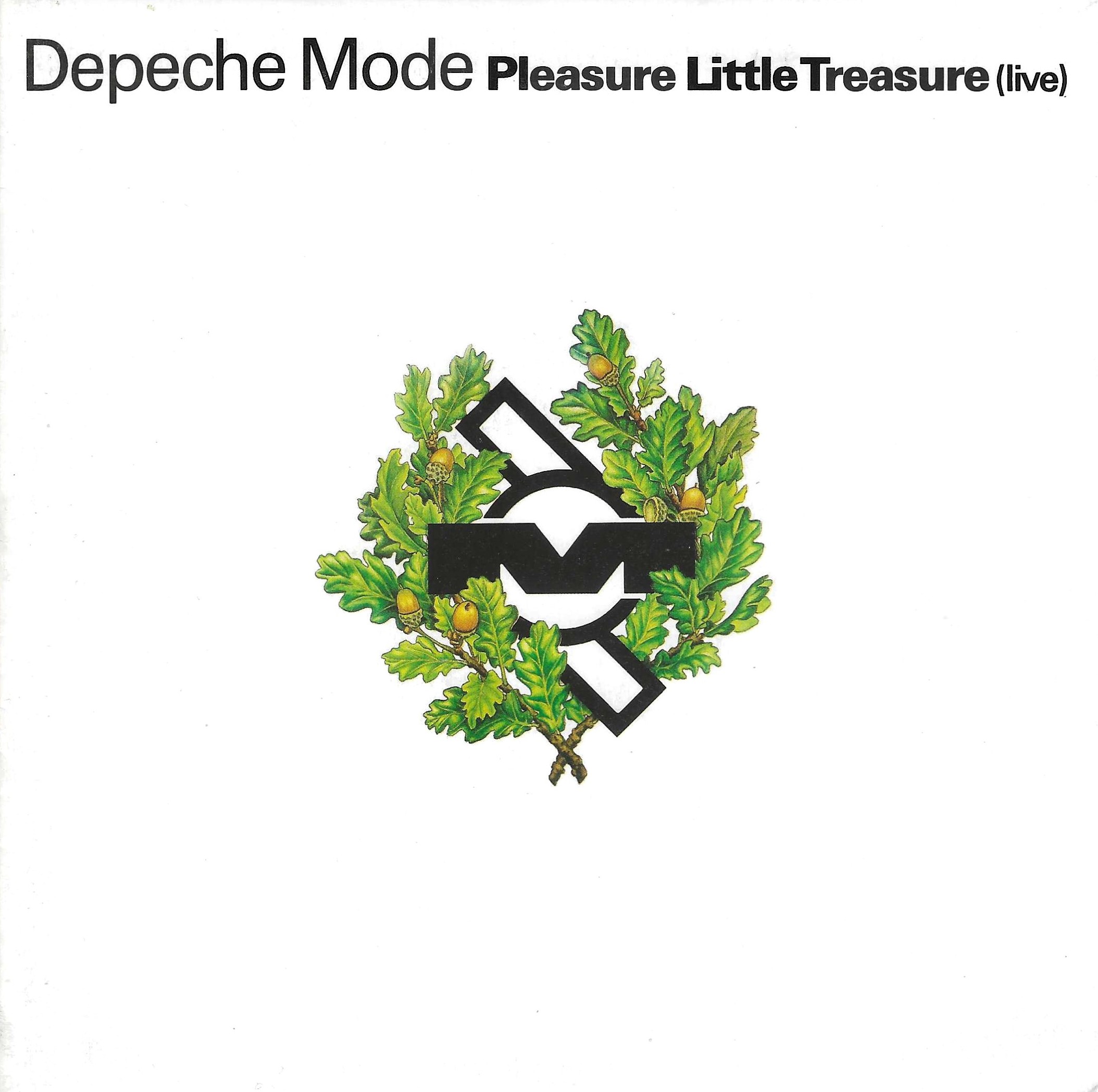 Pleasure Little Treasure